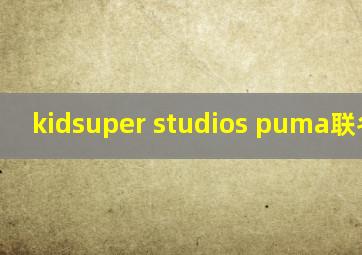 kidsuper studios puma联名卫衣